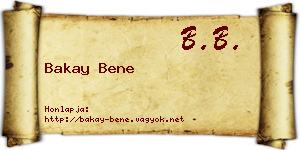 Bakay Bene névjegykártya